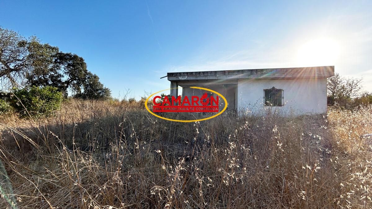 Finca rústica en venda en Coria del Río