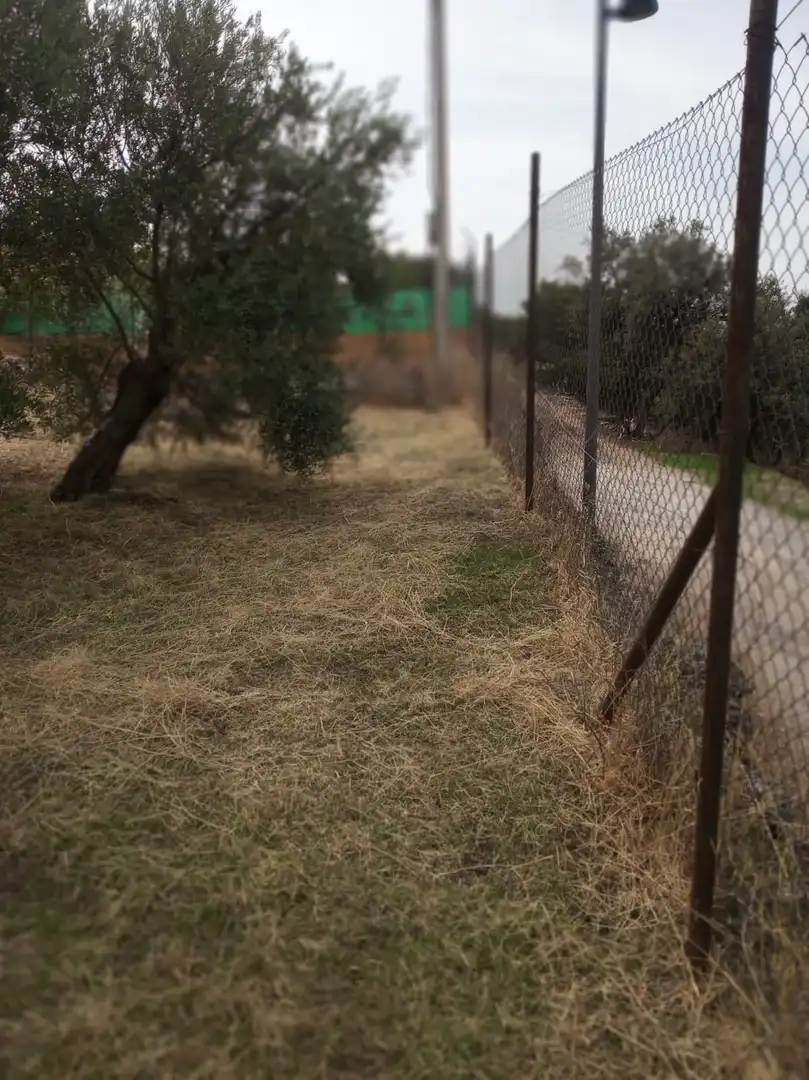 Terrenos y solares en venta en Úbeda, imagen 2