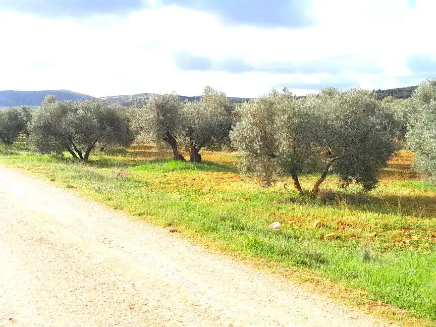 Rural land for sale in Calle del Seis de Junio 10, imagen 6