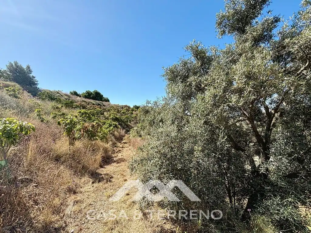 Casa o xalet en venda en Vélez-Málaga amb Aire condicionat, Jardí privat i Terrassa