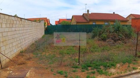 se venden dos parcelas urbanas de 720m2 en la c. pozo en Benavides de orbigo, con todos los suministros, luz, agua, asfaltada, immagine 3