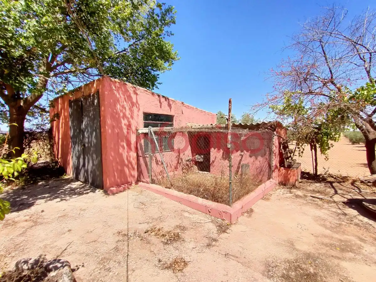 Casa rústica en venda a Valdepeñas, imagen 82