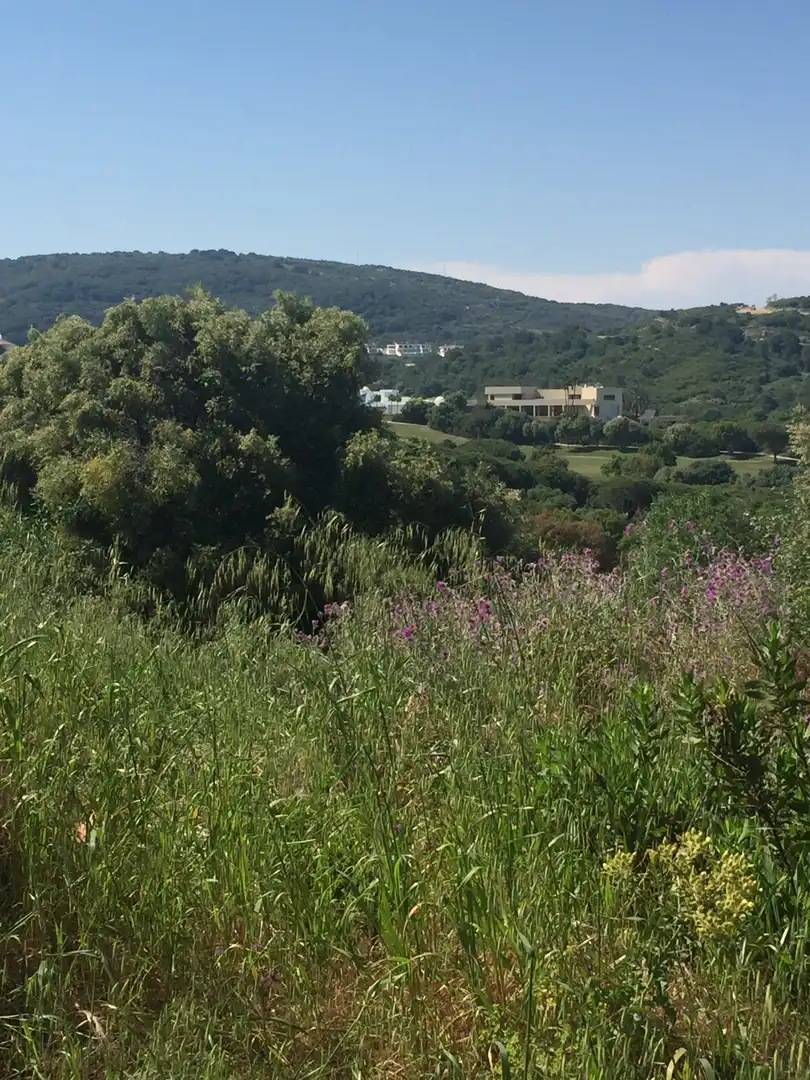 Terrenys i solars en venda a Sotogrande Alto, imagen 3