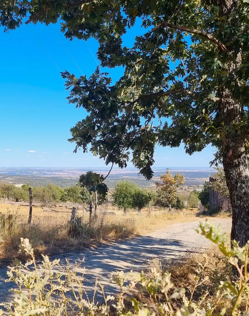 Terreno rustico in vendita a Carretera de Valdemanco 33, imagen 17