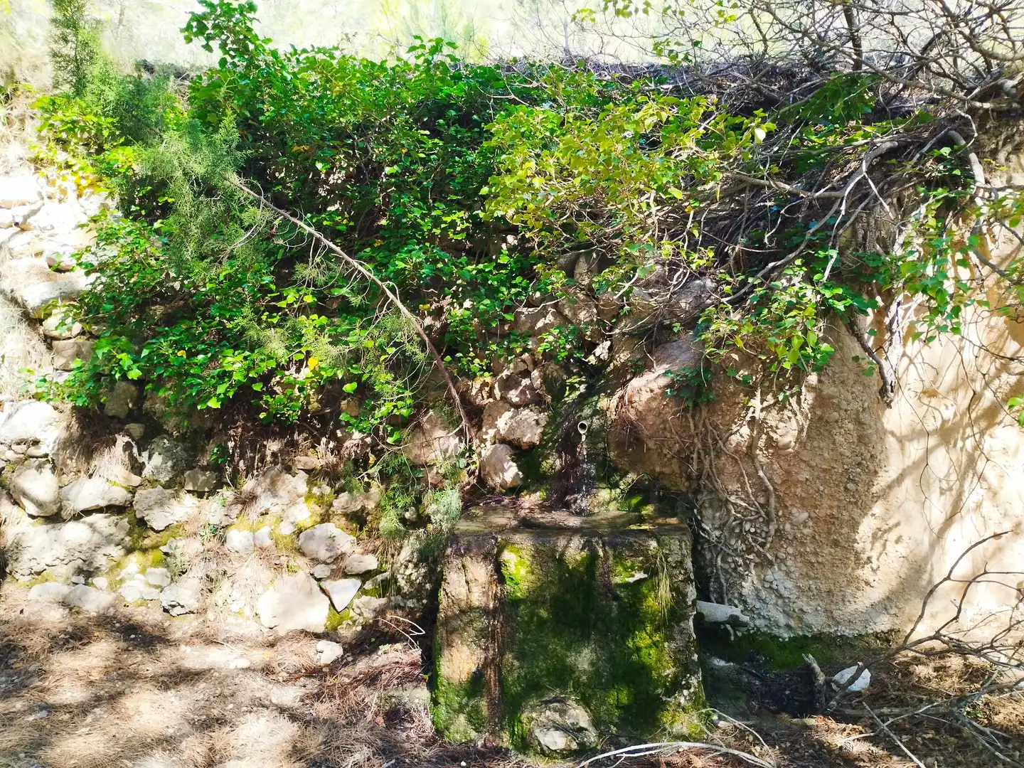 Jardín de Terreno en venta en La Morera de Montsant