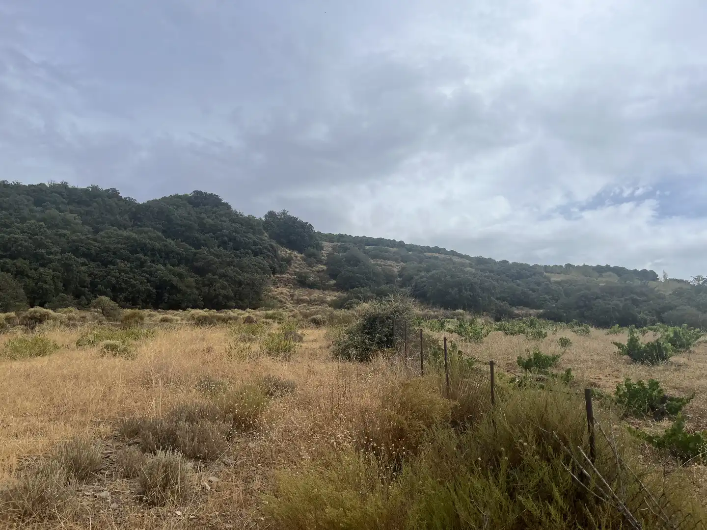 Terreno en venta en La Taha