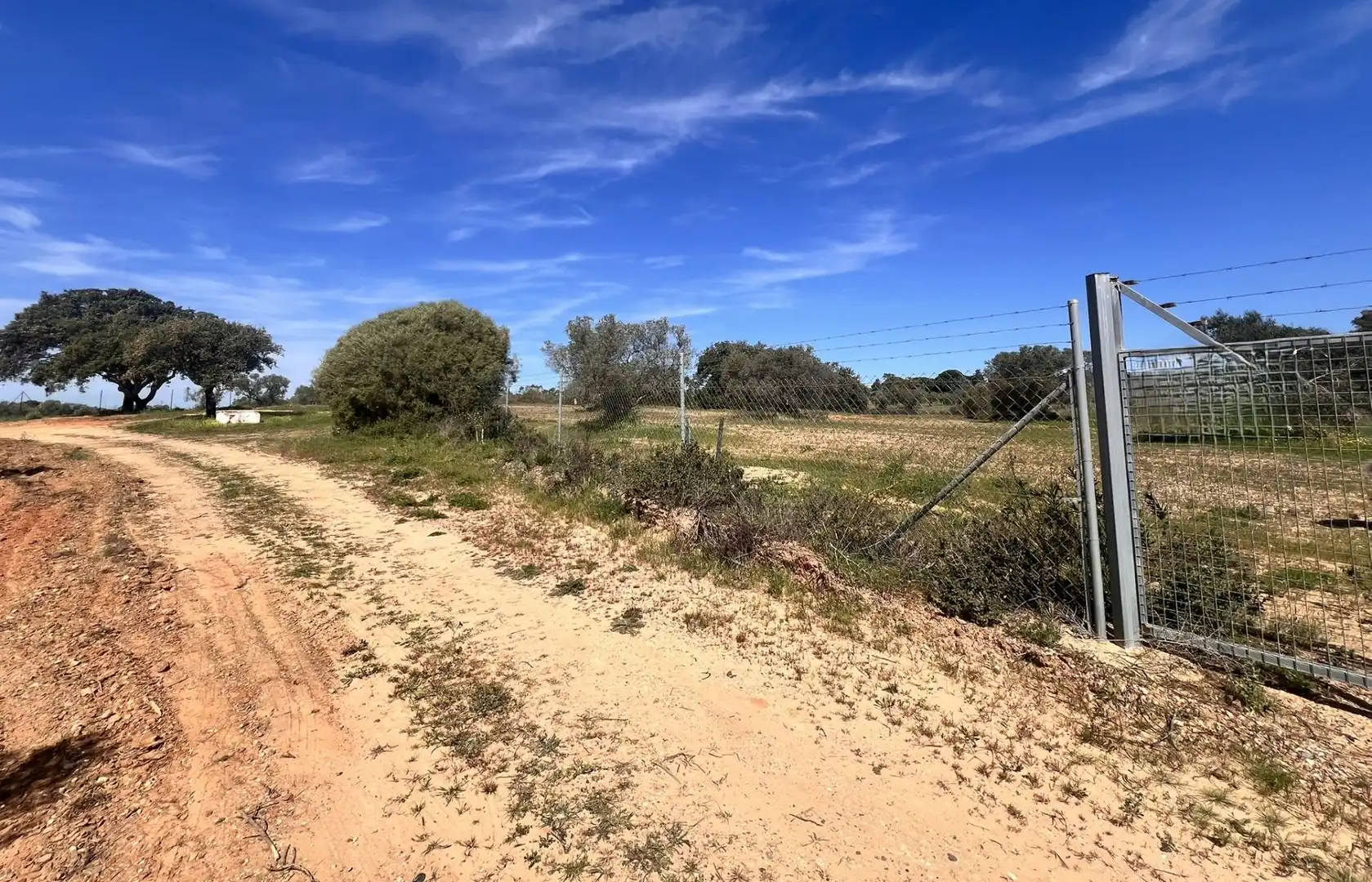 Terreny rústic en venda a Villablanca, imagen 6