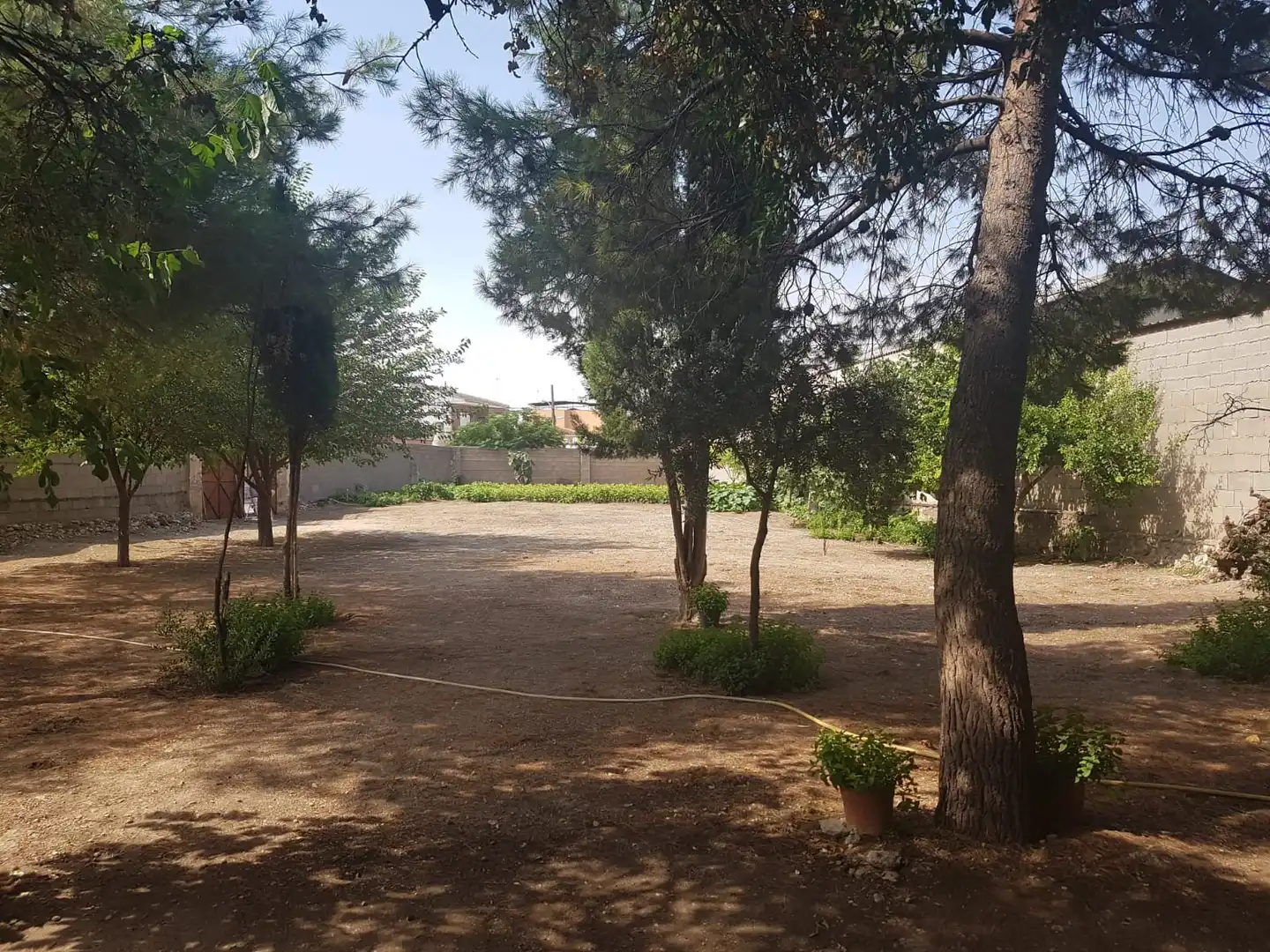 Lands and plots for sale in Corral de Almaguer, imagen 7