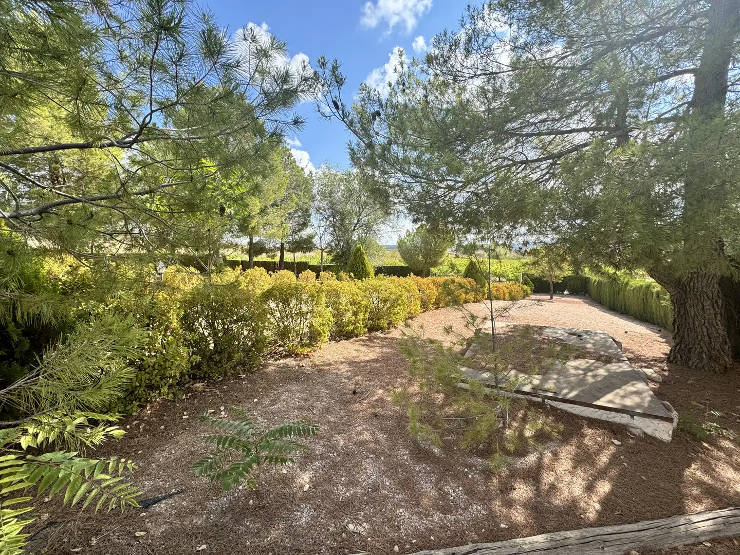 Jardí de Casa o xalet en venda en Caravaca de la Cruz amb Aire condicionat, Jardí privat i Traster