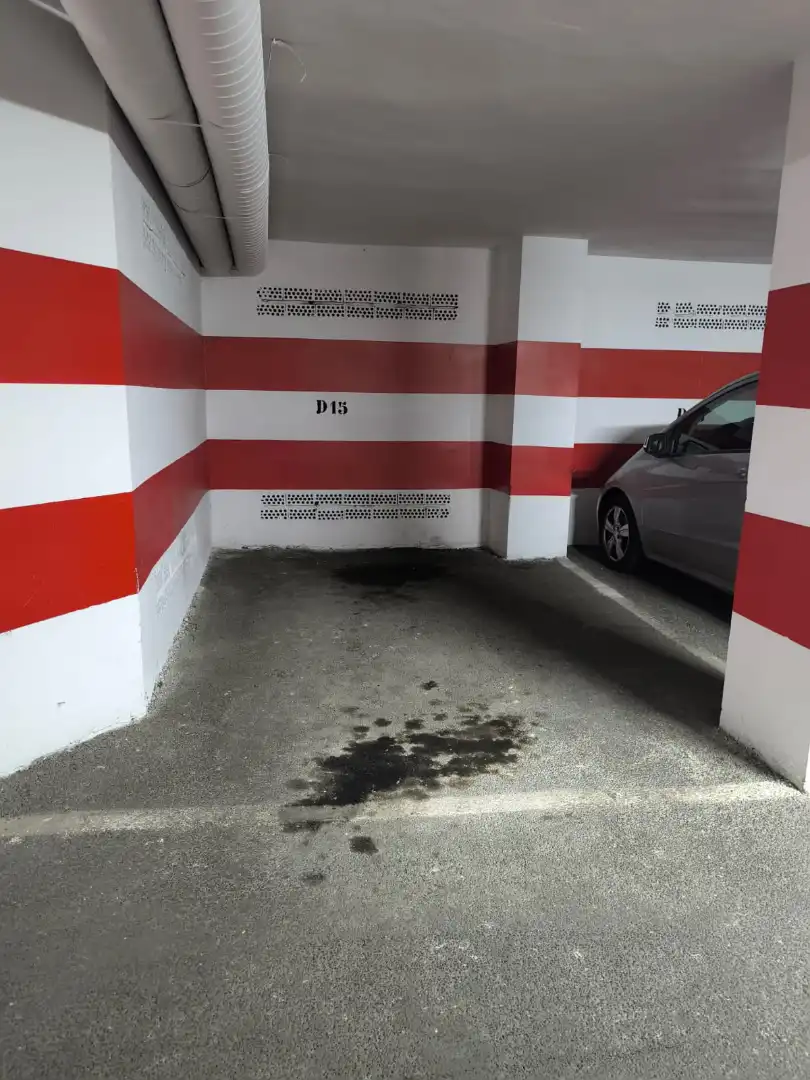 Wohnung zur Miete in Camino de Ronda, 212, Pajaritos
