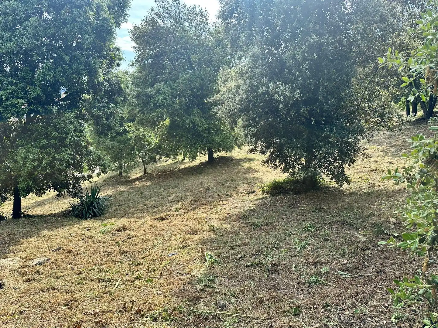 Lands and plots for sale in Caldes de Montbui, imagen 4