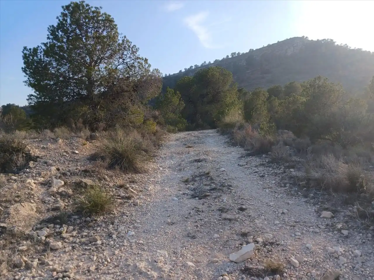 Residential land for sale in Proc. Simplificado