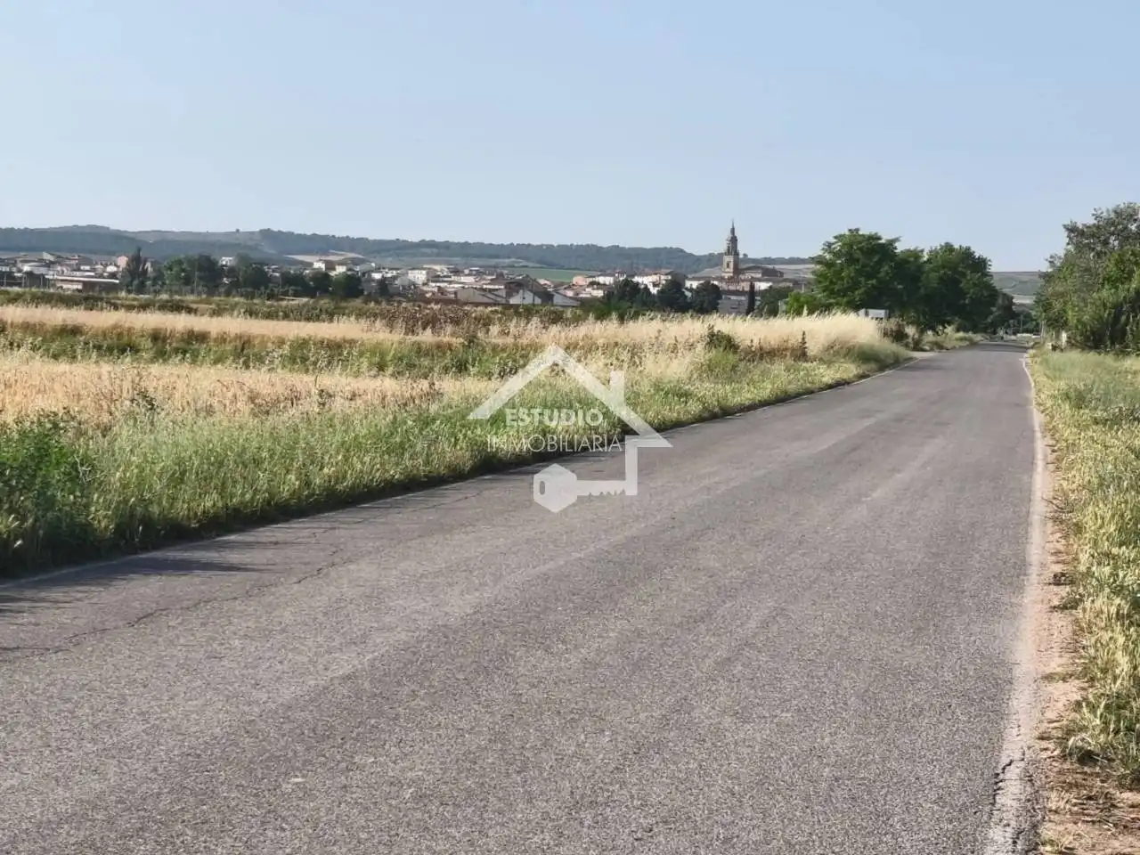 Rural land for sale in Calle carretera de la barca, imagen 6
