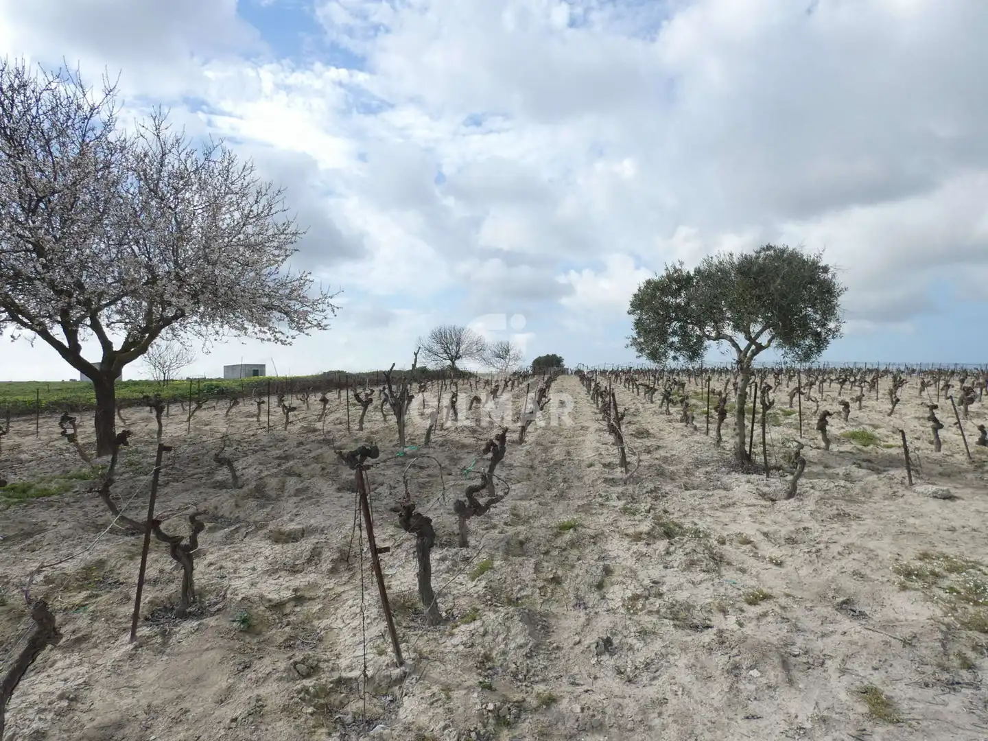 Rustikales Grundstück zum Verkauf in Ctra Jerez - Ctra del Puerto, imagen 15
