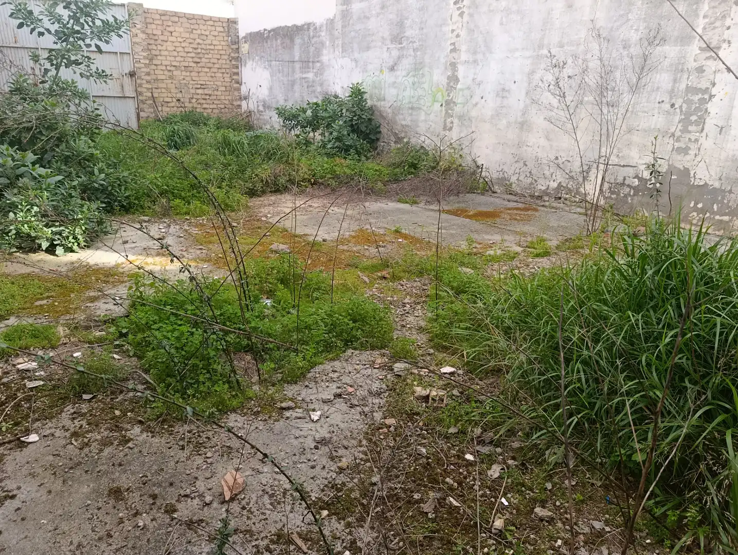 Residential land for sale in Centro - Doña Mercedes