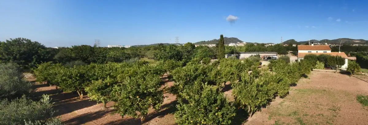 Finca rústica en venda en Roda de Berà amb Aire condicionat, Calefacció i Jardí privat