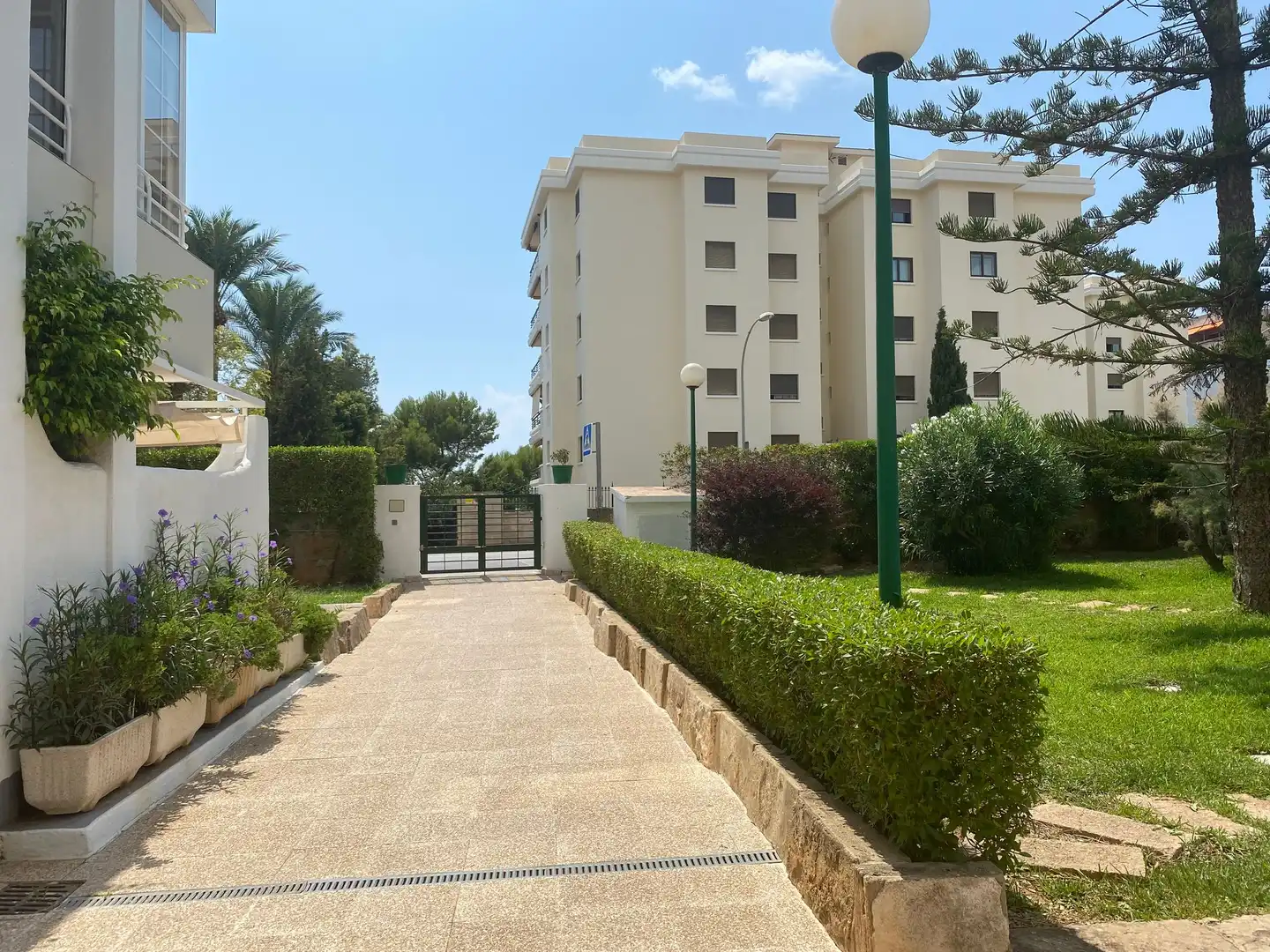 Apartament de lloguer a Portals Nous