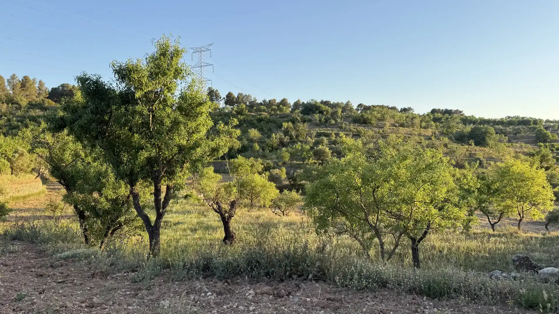 Finca rústica en venda en La Fatarella amb Jardí privat