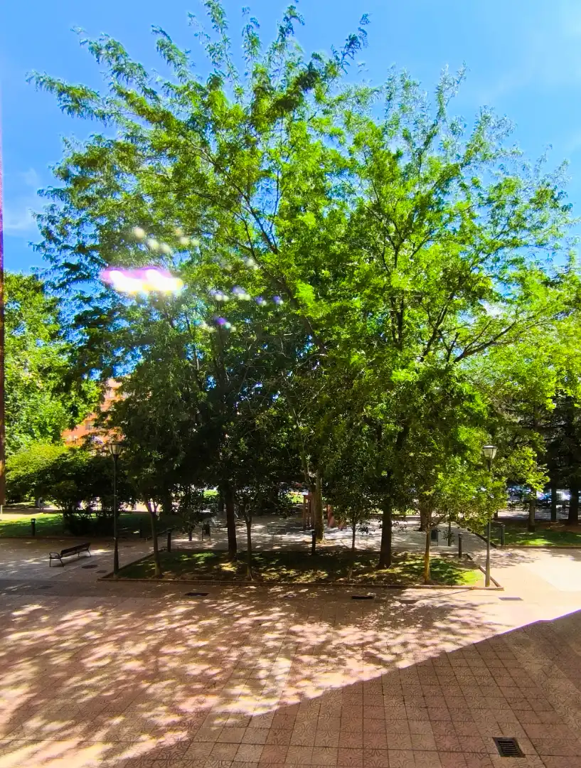 Vista exterior de Pis en venda en Palencia amb Calefacció, Parquet i Moblat