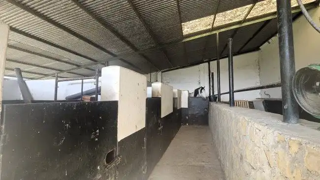 Country house for sale in Jimena de la Frontera, imagen 4