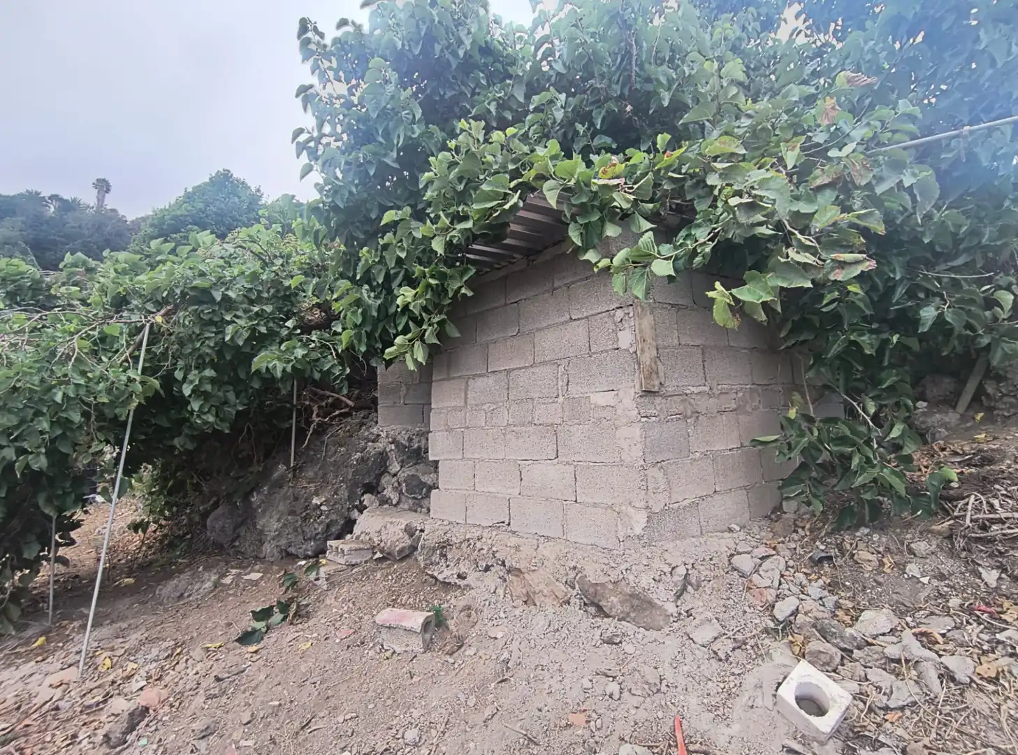 Land for sale in Carretera Vieja a la Vega, 5, La Vega - El Amparo - Cueva del Viento