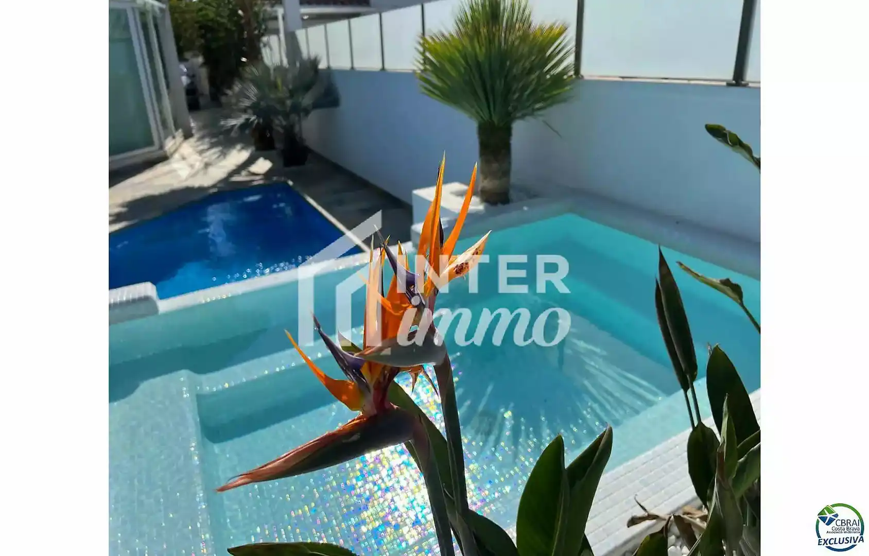 House with pool for sale in Carrer Falconera 24, imagen 2
