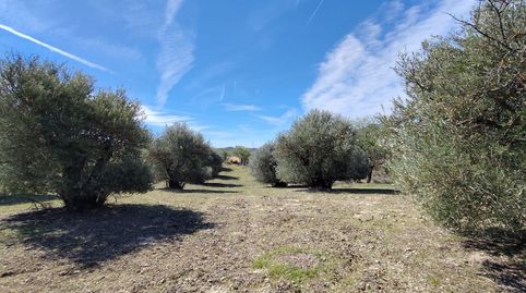 Foto 5 de Terreno en venta en Calle Poligono 3, 320p, Perales de Tajuña, Madrid