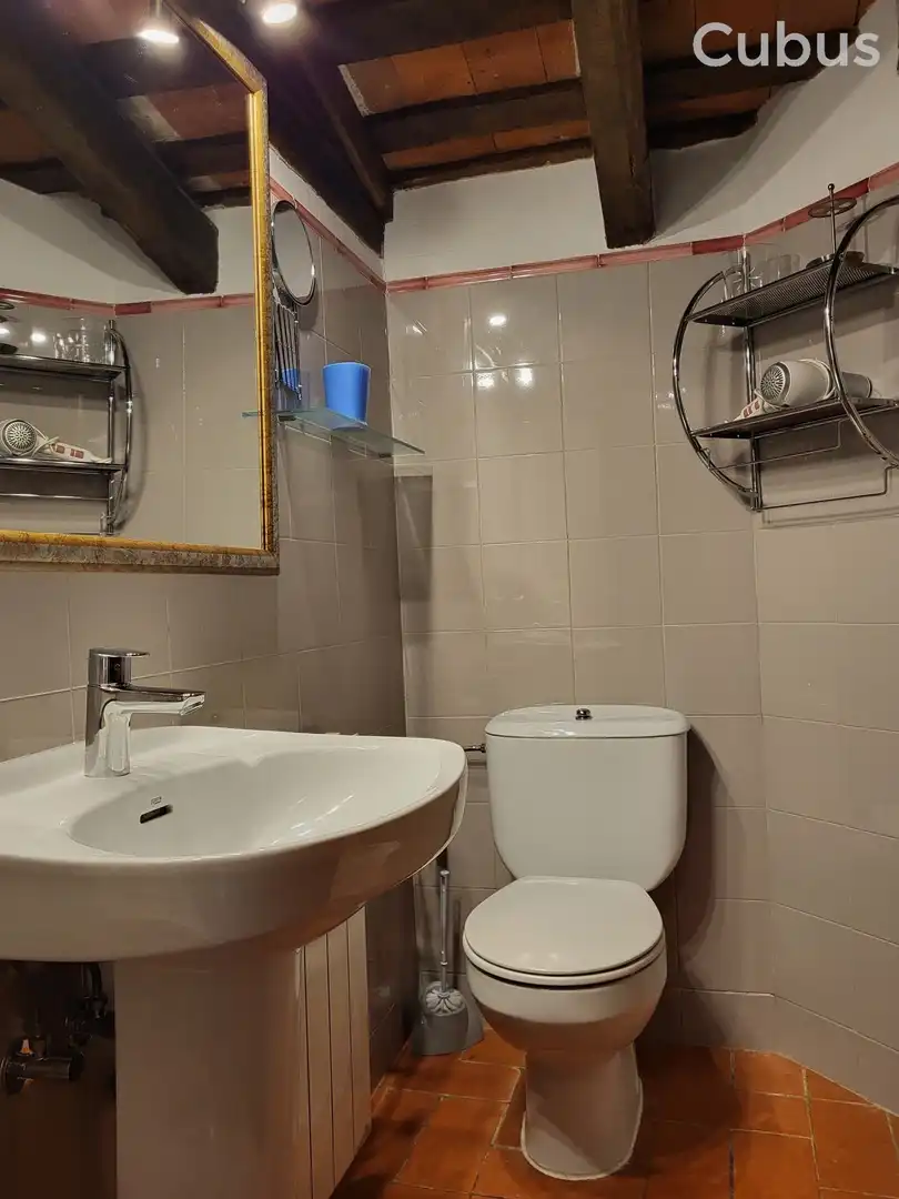 Baño de Finca rústica en venta en Sant Feliu de Pallerols con Calefacción, Terraza y Trastero