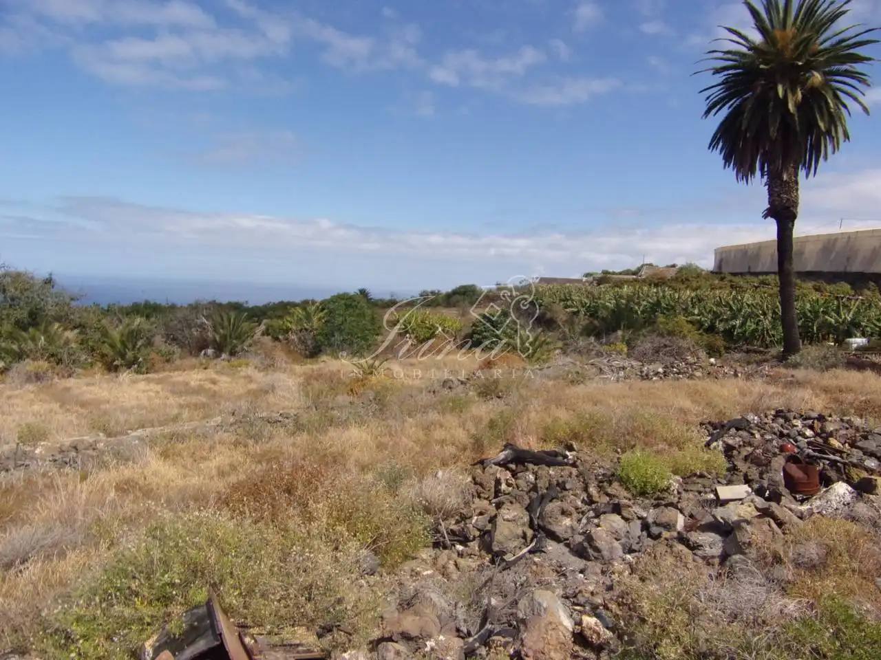 Finca rústica en venta en Tijarafe