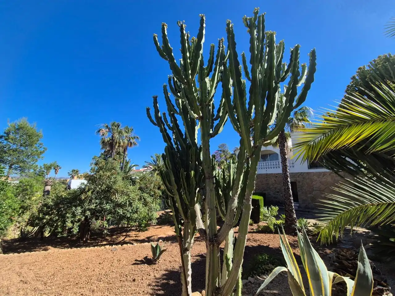 Vista exterior de Casa o chalet en venta en La Nucia con Jardín privado y Terraza