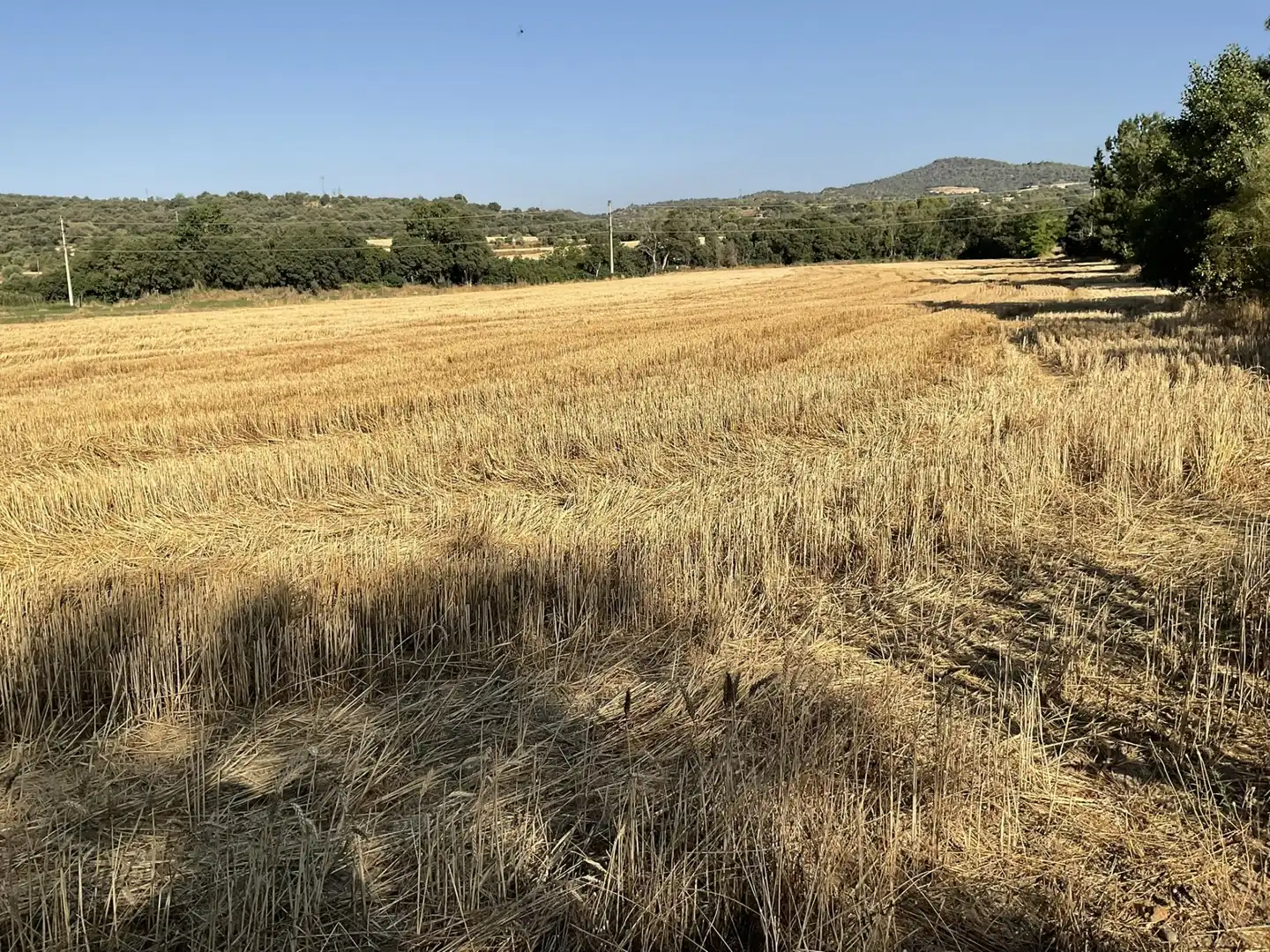 Terreni e lotti in vendita a El Grado, imagen 2