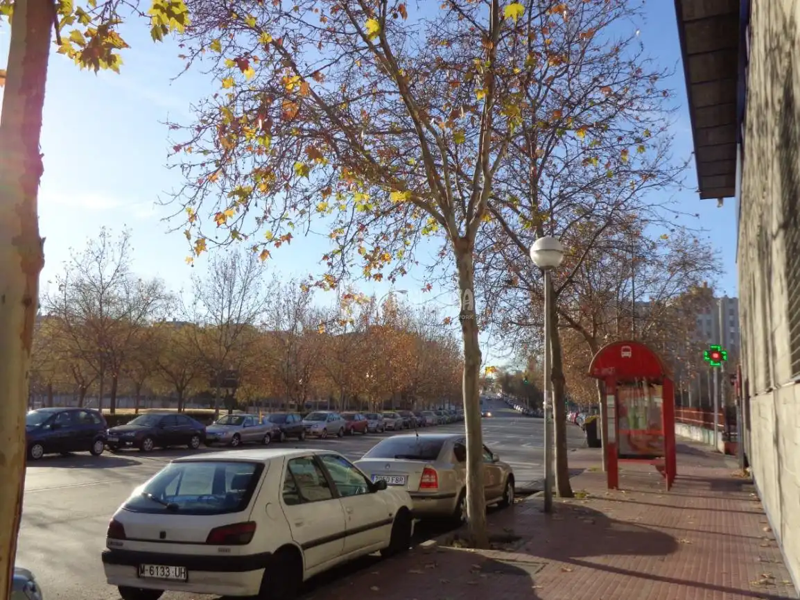 Exterior view of Commercial properties for rent in El Soto - Azorín