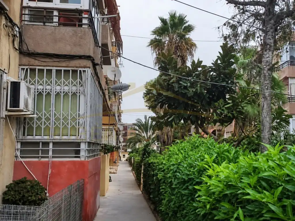 Maison à vendre à Calle Benimantell 8, imagen 2