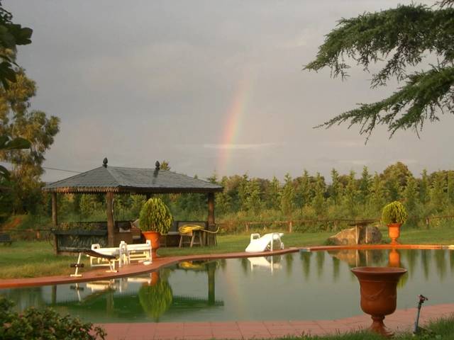 Finca rústica en Venta en Palau-sator