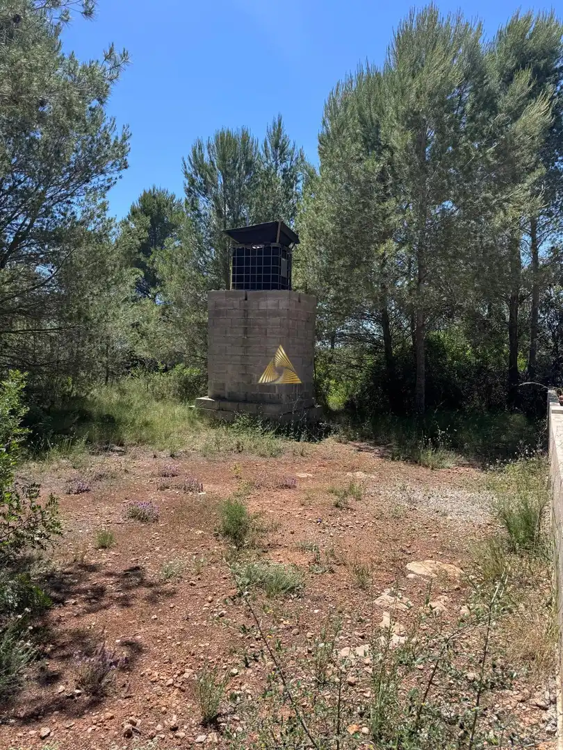 Country homes for sale in Partidas de interior - Zona Rústica