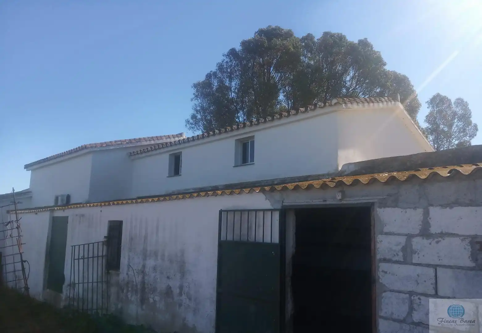 Vista exterior de Finca rústica en venda en Mijas