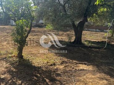 Terreni e lotti in vendita a Norte-Sierra