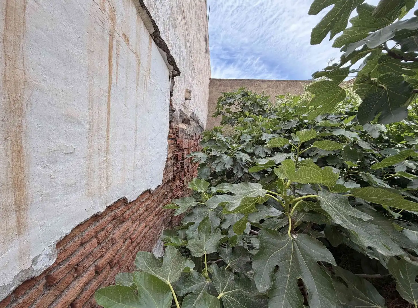 Exterior view of Land for sale in Almería