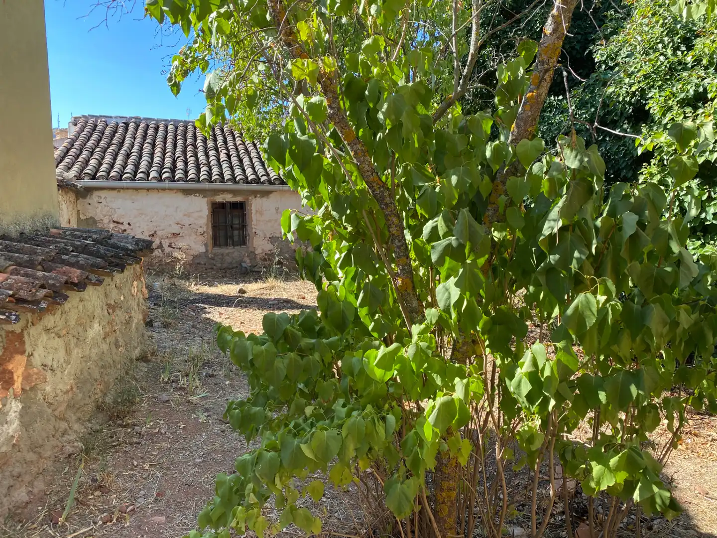 House with garden for sale in Calle Mayor, imagen 34