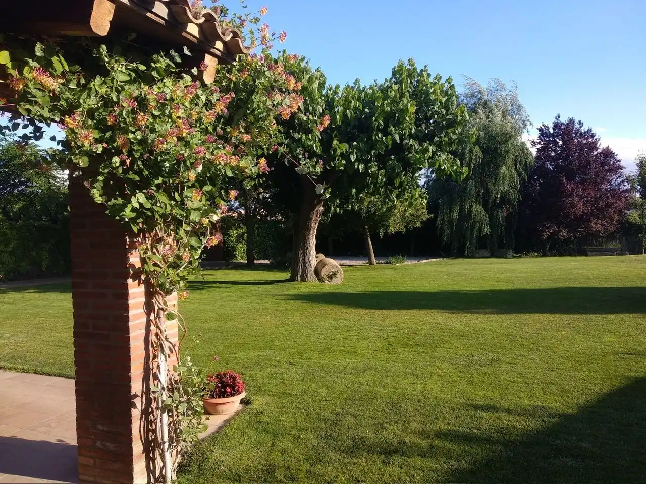 Jardí de Casa o xalet en venda en Vilanova de Bellpuig amb Calefacció, Jardí privat i Piscina