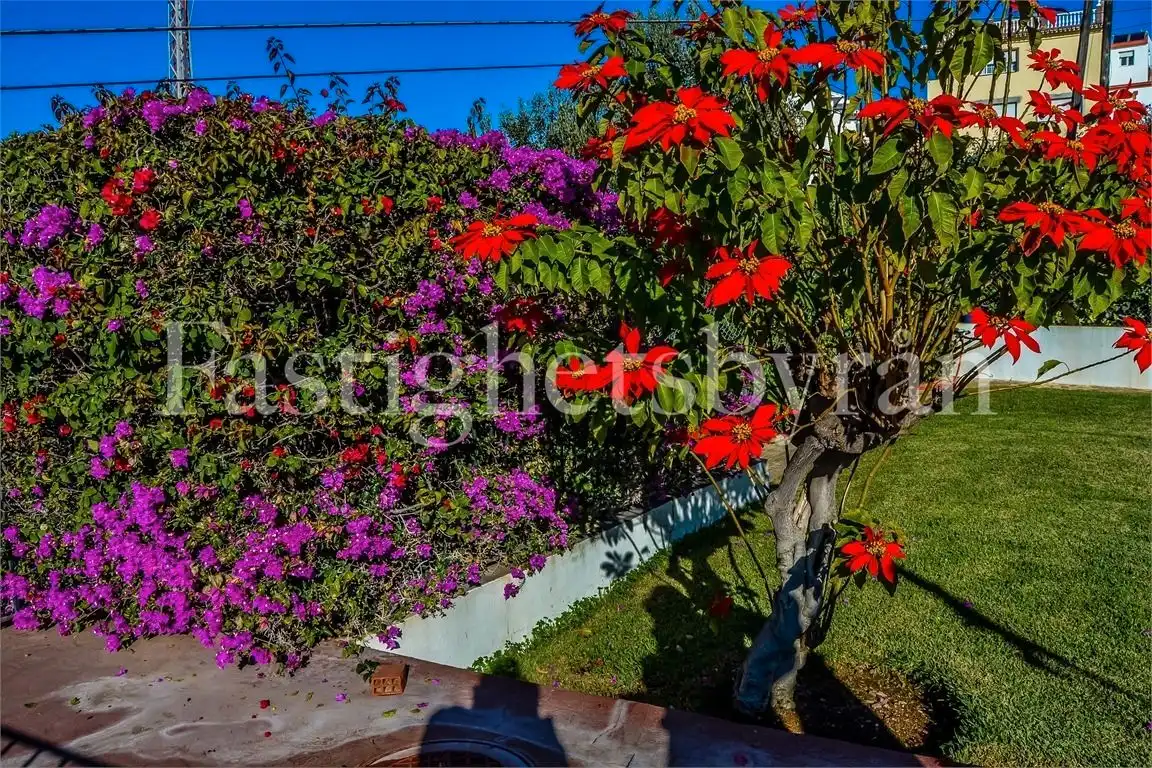 Jardín de Casa o chalet en venta en Vélez-Málaga con Jardín privado, Terraza y Piscina