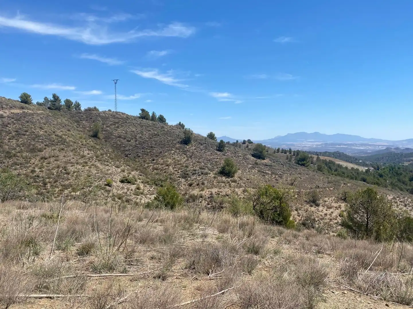 Terreno rustico in vendita a Pedanías Centro, imagen 6