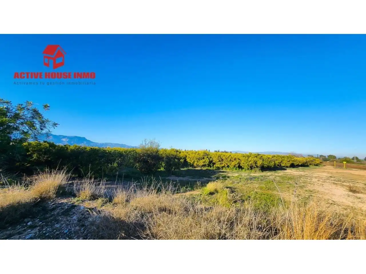 Terreno rustico in vendita a Calle Pol 12 Parc 100, imagen 14