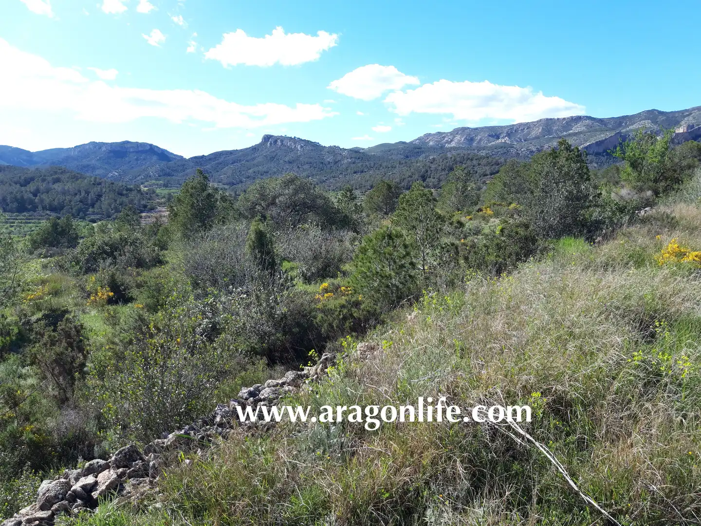 Rural land for sale in C-43, imagen 6