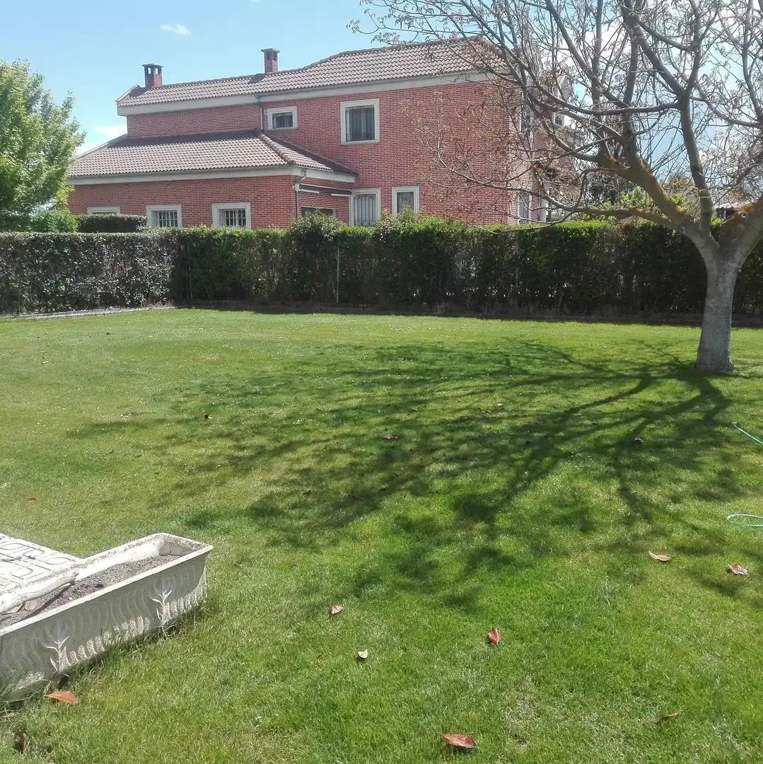 Jardín de Casa o chalet en venta en Simancas con Jardín privado, Parquet y Terraza