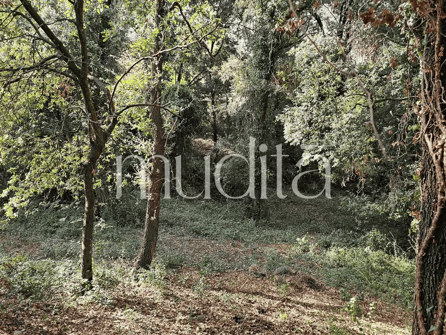 Residential land for sale in del Xaloc, imagen 18