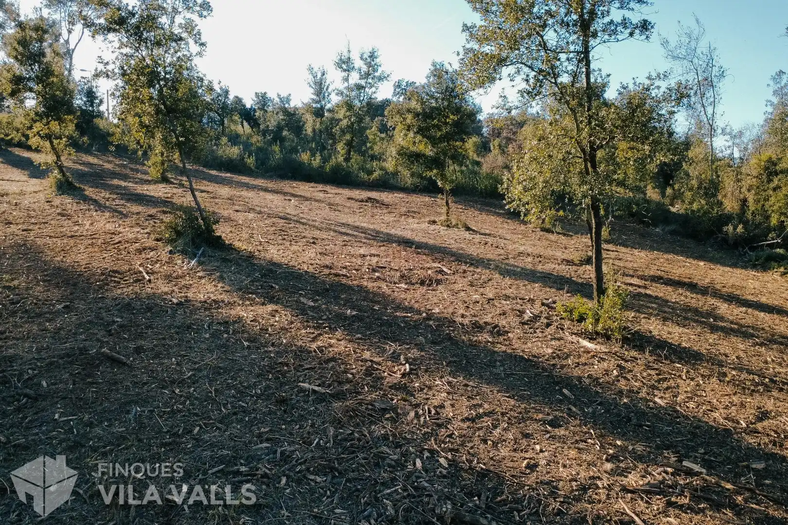 Lands and plots for sale in Calle Palaudaries, imagen 10