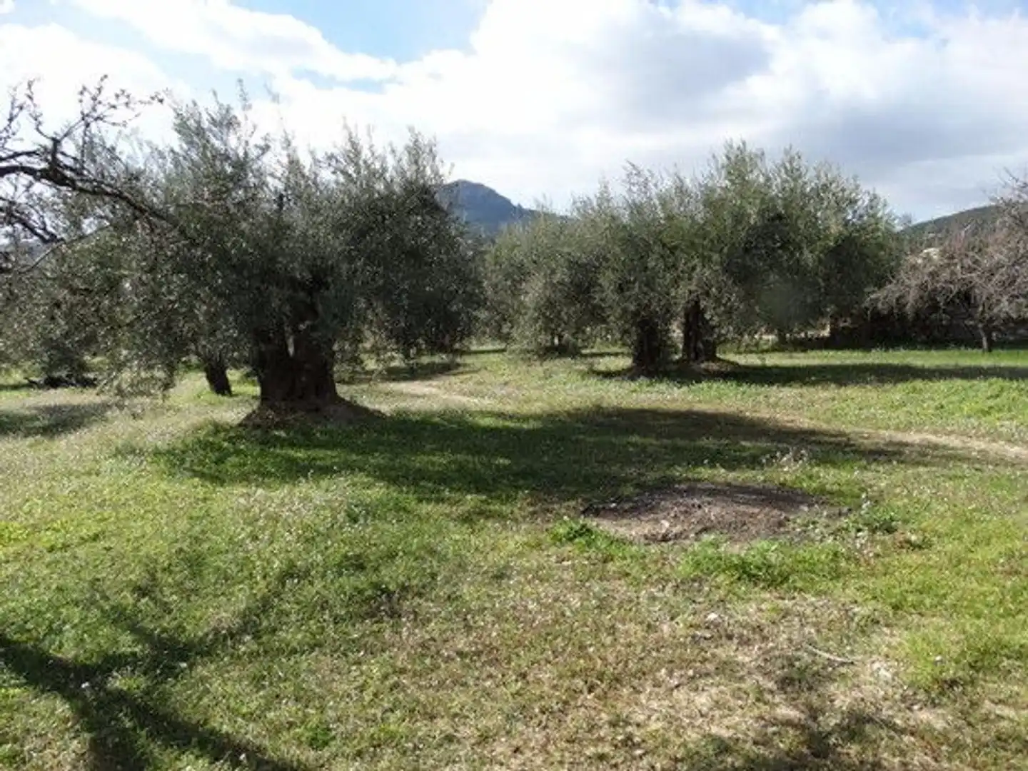Terreni e lotti in vendita a Moratalla, imagen 10