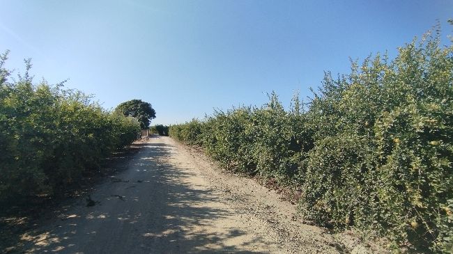 Residential for sale in Partida Fogaria, 19, Almoradí