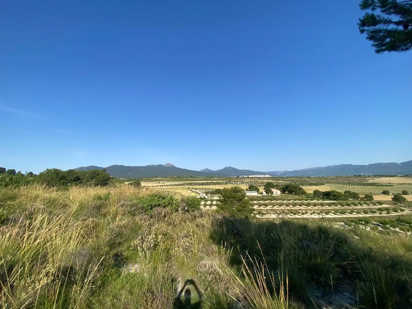 Villa à vendre à Moratalla, imagen 83